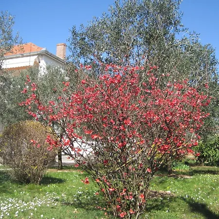 With Parking Space - Diklo, - 14750 Apartament *