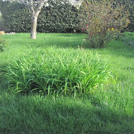 With Parking Space - Diklo, - 14750 Apartament Zadar