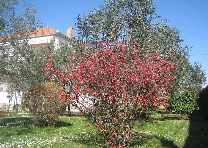 With Parking Space - Diklo, - 14750 Apartamento *