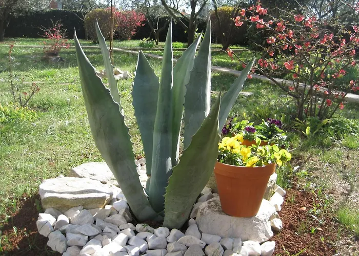 With Parking Space - Diklo, - 14750 *